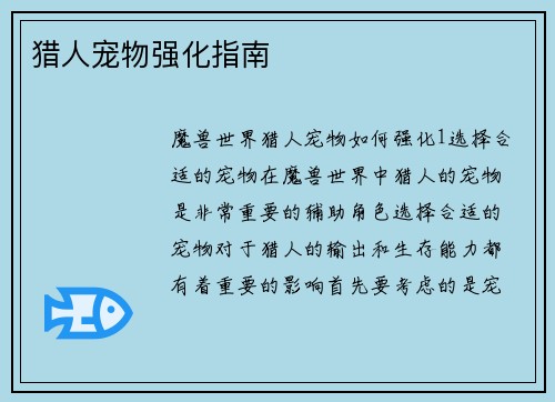 猎人宠物强化指南